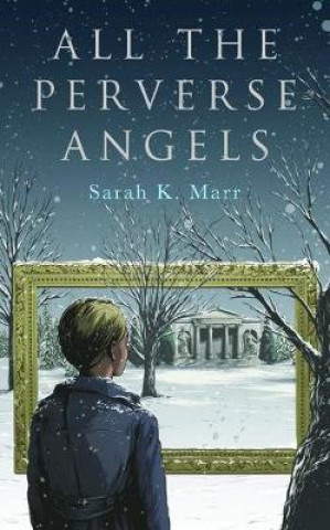 Kniha All the Perverse Angels Sarah Marr