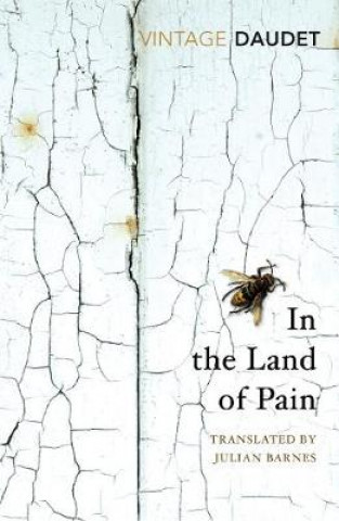 Kniha In the Land of Pain Alphonse Daudet