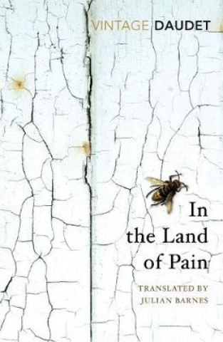 Βιβλίο In the Land of Pain Alphonse Daudet