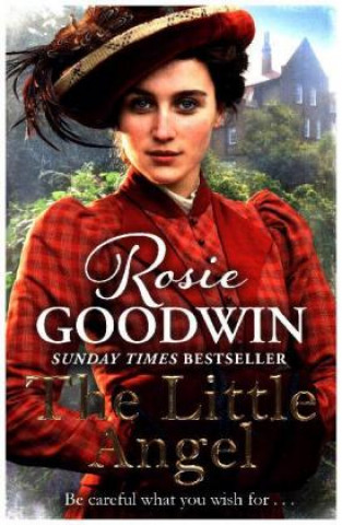 Kniha Little Angel Rosie Goodwin