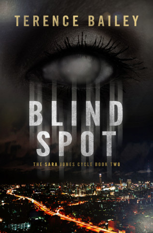 Könyv Blind Spot Terence Bailey