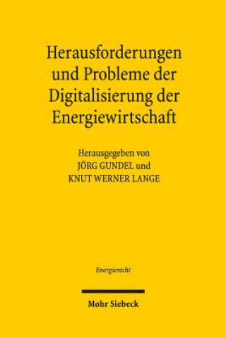 Książka Herausforderungen und Probleme der Digitalisierung der Energiewirtschaft Jörg Gundel