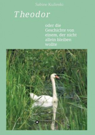 Book Theodor Sabine Kulinski