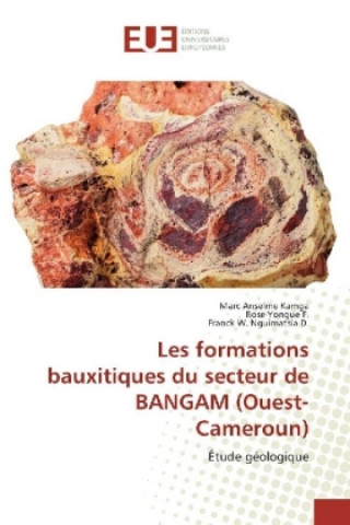 Könyv Les formations bauxitiques du secteur de BANGAM (Ouest-Cameroun) Marc Anselme Kamga