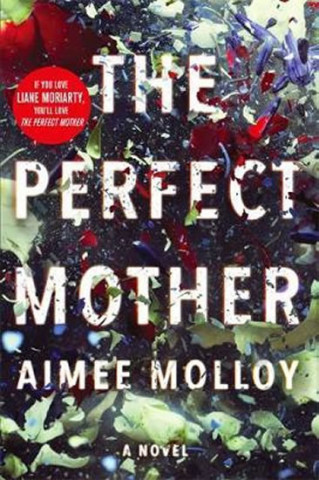 Книга Perfect Mother Aimee Molloy