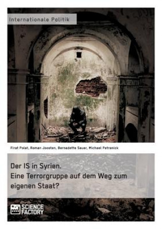 Buch IS in Syrien. Eine Terrorgruppe auf dem Weg zum eigenen Staat? Firat Polat