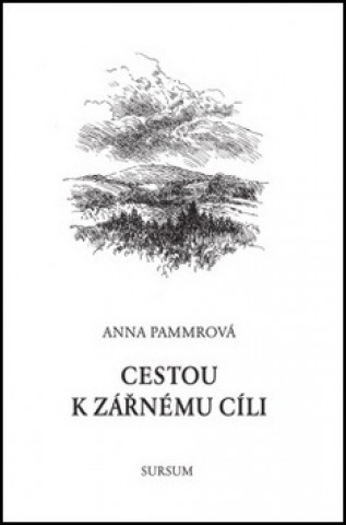 Kniha Cestou k zářnému cíli Anna Pammrová