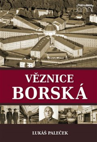 Kniha Věznice borská Lukáš Paleček
