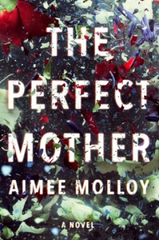 Carte Perfect Mother Aimee Molloy