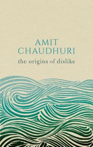 Kniha Origins of Dislike Chaudhuri