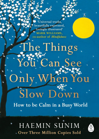 Kniha Things You Can See Only When You Slow Down Haemin Sunim