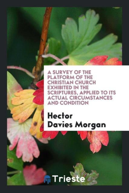 Kniha Survey of the Platform of the Christian Church Exhibited in the Scriptures, Applied to Its Actual Circumstances and Condition HECTOR DAVIES MORGAN