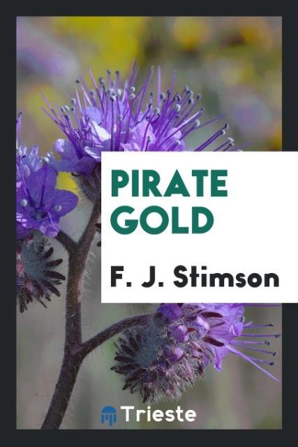 Buch Pirate Gold F. J. STIMSON