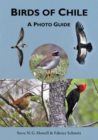 Kniha Birds of Chile Steve N. G. Howell