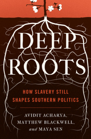Buch Deep Roots Avidit Acharya