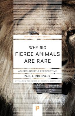 Kniha Why Big Fierce Animals Are Rare Paul A. Colinvaux