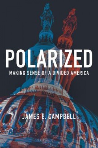 Buch Polarized James E. Campbell