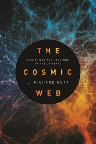 Kniha Cosmic Web Gott