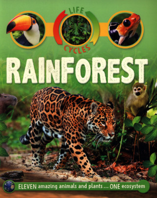 Kniha Life Cycles: Rainforest Sean Callery