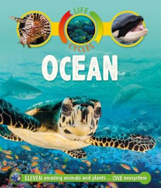 Kniha Life Cycles: Ocean Sean Callery