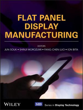 Kniha Flat Panel Display Manufacturing Jun Souk