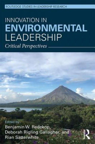 Buch Innovation in Environmental Leadership 