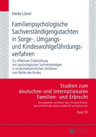 Livre Familienpsychologische Sachverstaendigengutachten in Sorge-, Umgangs- Und Kindeswohlgefaehrdungsverfahren Heike Löwer