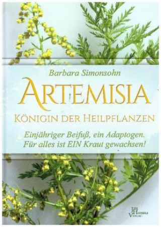 Книга Artemisia Barbara Simonsohn