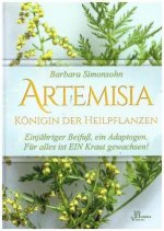 Könyv Artemisia Barbara Simonsohn
