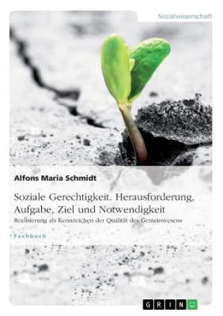 Книга Soziale Gerechtigkeit. Herausforderung, Aufgabe, Ziel und Notwendigkeit Alfons Maria Schmidt