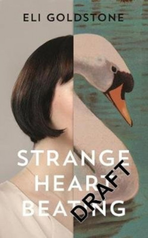 Kniha Strange Heart Beating Eli Goldstone