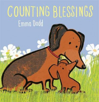 Knjiga Counting Blessings Emma Dodd