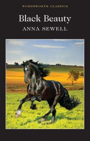 Book Black Beauty A Sewell