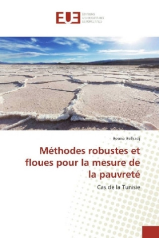 Carte Méthodes robustes et floues pour la mesure de la pauvreté Besma Belhadj