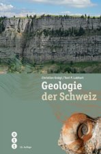 Carte Geologie der Schweiz Christian Gnägi