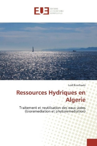 Könyv Ressources Hydriques en Algerie Laid Bouchaala
