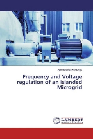 Książka Frequency and Voltage regulation of an Islanded Microgrid Aphrodis Nduwamungu