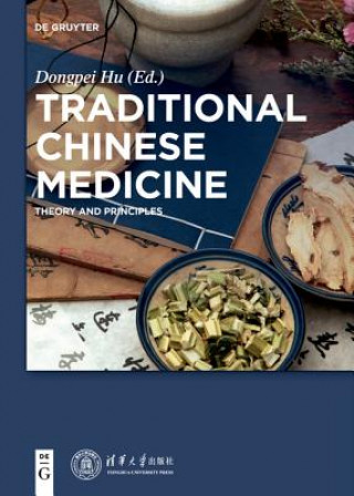 Könyv Traditional Chinese Medicine Dongpei Hu
