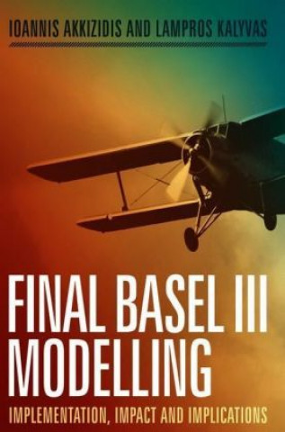 Kniha Final Basel III Modelling Ioannis Akkizidis