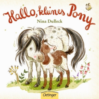 Kniha Hallo, kleines Pony! Nina Dulleck