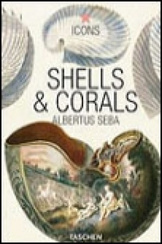Knjiga Seba, Shell and Corals Dr. Irmgard  Müsch