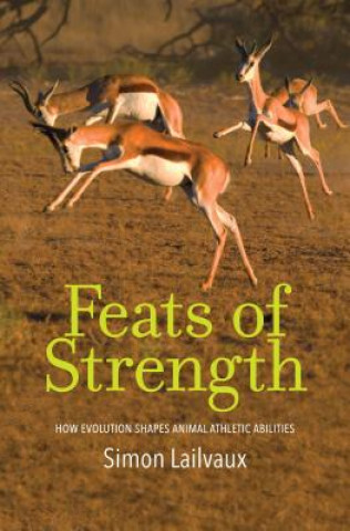 Book Feats of Strength Simon Lailvaux