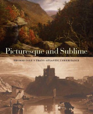 Book Picturesque and Sublime Tim Barringer