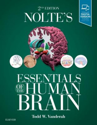 Kniha Nolte's Essentials of the Human Brain Vanderah