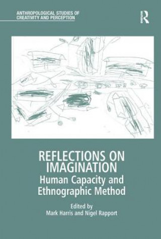 Kniha Reflections on Imagination 