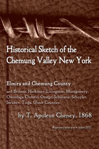 Kniha Historical Sketch of the Chemung Valley, New York T. APOLEON CHENEY