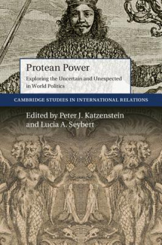 Книга Protean Power Peter J. Katzenstein