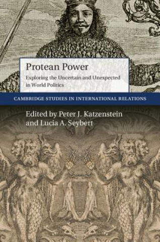 Buch Protean Power Peter J Katzenstein