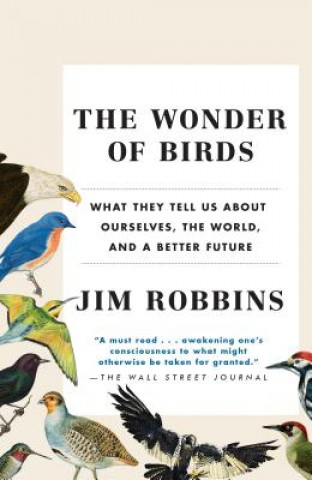 Könyv Wonder of Birds Jim Robbins