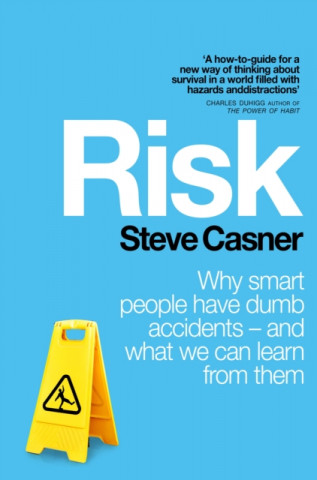 Kniha Risk Steve Casner